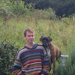 Organ Improvisation # VII