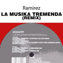 La Musika Tremenda (Dj Pierre Hiver vs. Dj M. Hammer Flight Over Hamburg Remix)