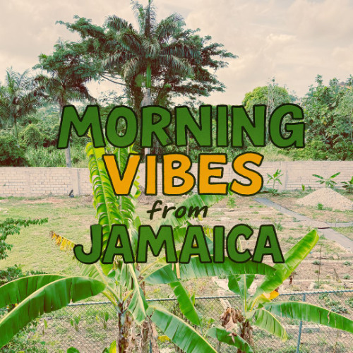 Stream 朝練 7月2日 2025 by OGA JAH WORKS | Listen online for