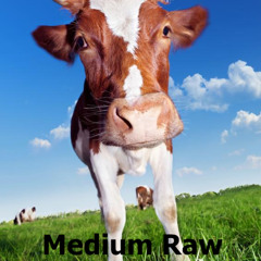 Medium Raw Intro (produced by Chubeats)