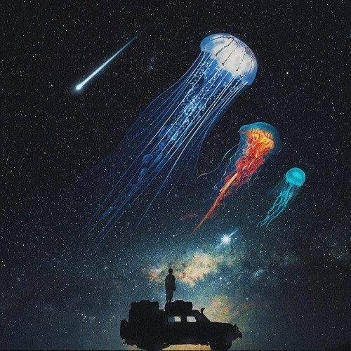 Lucid Dreaming Project #005