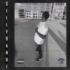 MjZoo- Silly Bandz