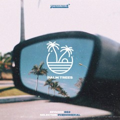 PALM TREES: EPISODE #002