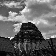 Systema Naturae by lucii. - 19/12/2025