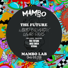 Wilfred (COL) &  Mafia X - The Future (Original Mix)