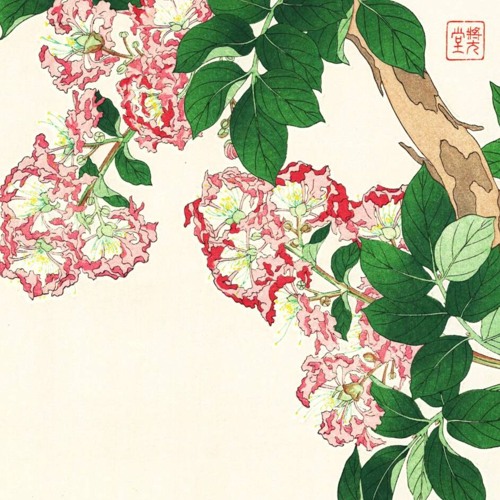 百日紅