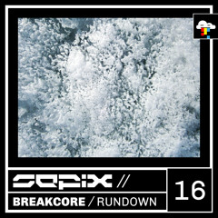 Breakcore Rundown Sixteen
