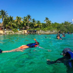 Best Place To Snorkel In Riviera Maya Prices Reviews