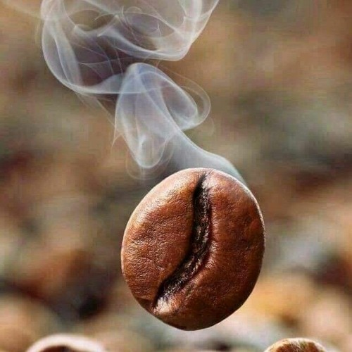 شايل هموم دنيتك . مين راح يشيل همك(MP3_320K).mp3