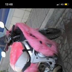 SHYGIRL - CLEO LA CHOP