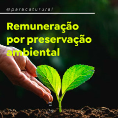 Produtores rurais podem ser remunerados por preservação ambiental