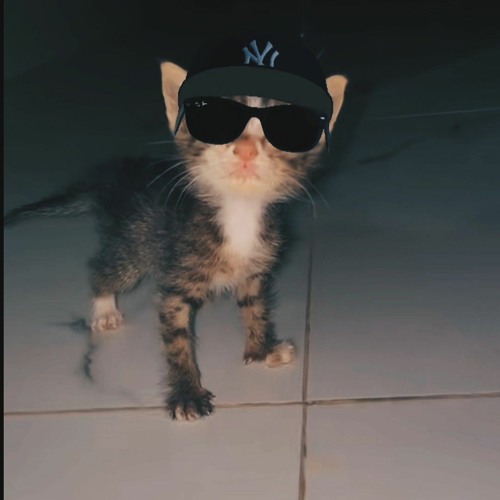 𝙛𝙪𝙣𝙠𝙤𝙩 𝙗𝙖𝙡𝙞 -𝙀𝙜𝙚 🎧