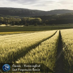 Cocoon - Hummingbird (Lost Frequencies Remix)