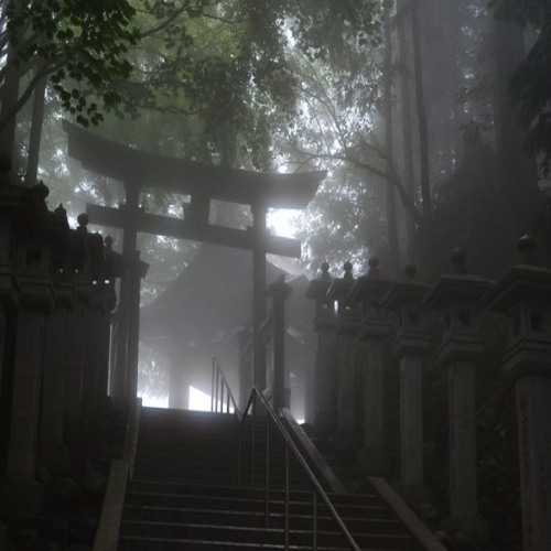 Не хочу [ВСЕ ПЛОЩАДКИ]