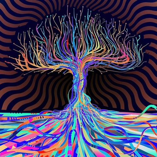 Passenger 10 - The Mage