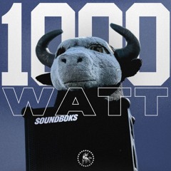 1000 Watt