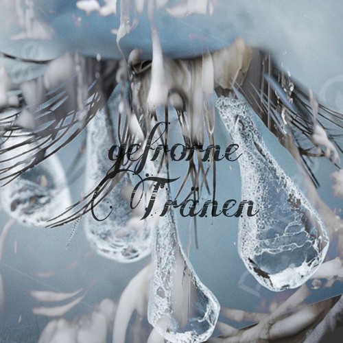 gefrorne tränen ~ trance edit