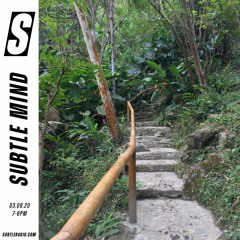Subtle Mind - Subtle - 03/08/2020