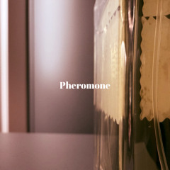 Qadafee - Pheromone