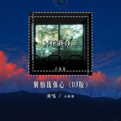 小匆匆 - 别怕我伤心 (DJ版)「一颗爱你的心 时时刻刻为你转不停」【動態歌詞/pīn yīn gē cí】#小匆匆 #别怕我伤心 #動態歌詞