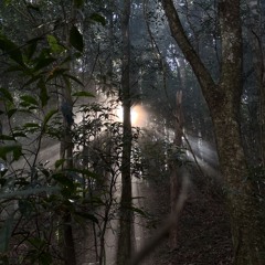 。《 漸.境 》。