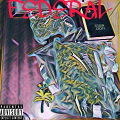 Don TVille - Federal