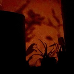 skipping stones on pebble beach           (a living room outpour)