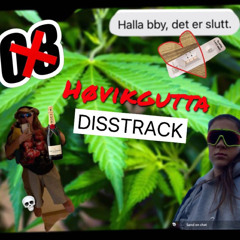 HøvikGutta Disstrack
