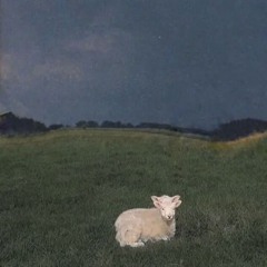 Gerade ft.Roion P.5kjordn