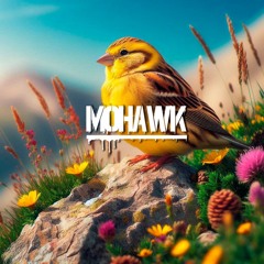#100 Set Pão de Loth - MOHAWK