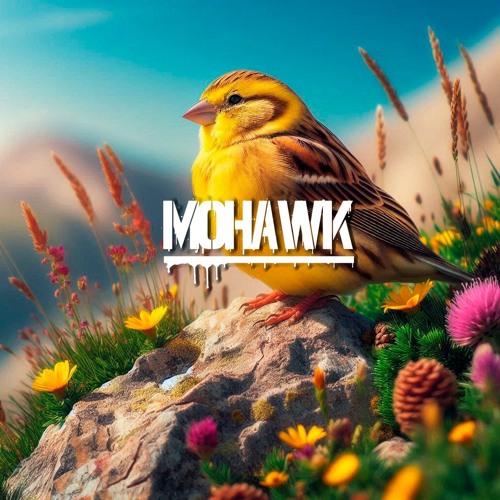 #100 Set Pão de Loth - MOHAWK