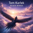 Tom Karlek - Black Wings(Cloud Mix)