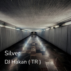 Silver  (Orijinal Mix)