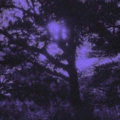 Basic (prod. Nova Chance)