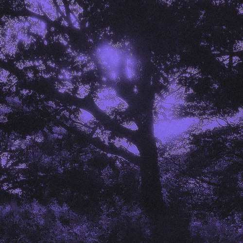 Basic (prod. Nova Chance)