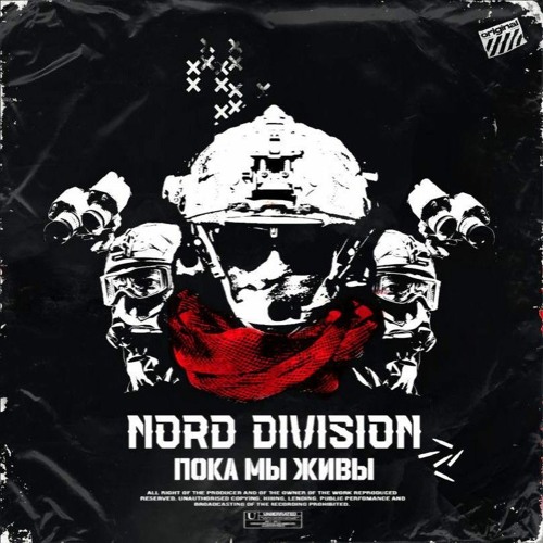 NORD DIVISION- СТИЛЬ УГОЛЁК
