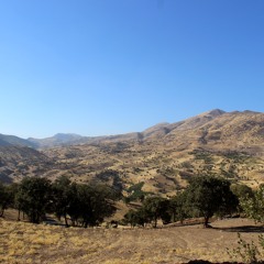 بوکه بارانه