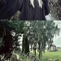 345 desert eagle camo