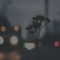 ناصيف_زيتون_ورحمة_رياض_ما_في_ليلريمكس_Remix_By_DJ_Nezar.m4a