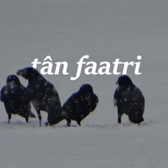 tân faatri (p.peril)