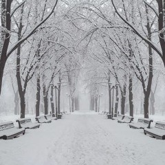December 2021