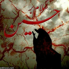 Dam Mast Qalandar mein Ali bol raha h🙏