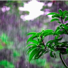 In The Rain (feat. Fr. Harris)