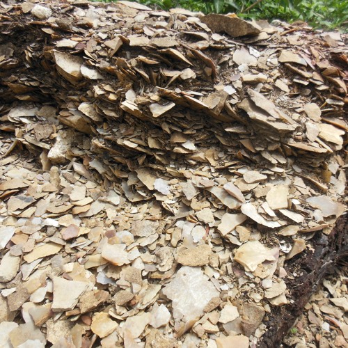 S3 Ep3 - Chert Quarrying and Processing (w/ Dr. Rachel Horowitz)