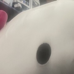 solo/dolo (p. XENO$YD)