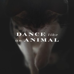 Nother - Dance Like An Animal feat. Grecale