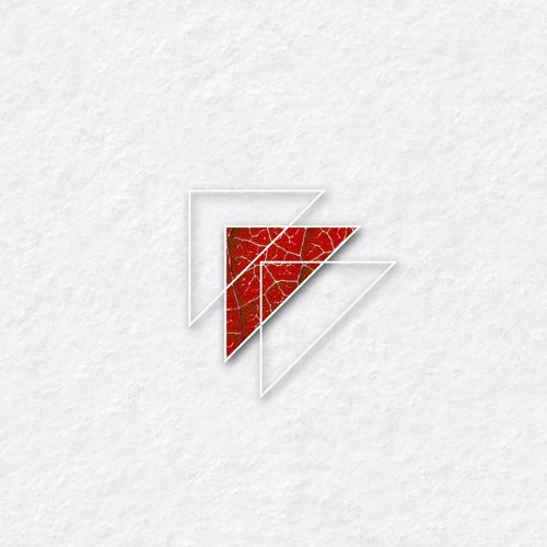 Select Cuts 255: Tim Taylor