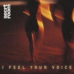 I Feel Your Voice