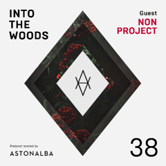 Into The Woods #38 /\ Guest: NoN Project