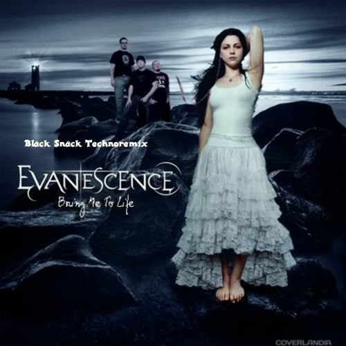 Bring Me To Life (Sekou Technobootleg)